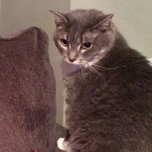 Meet your Posher, Donna